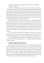 Pajamų apskaita 7 puslapis