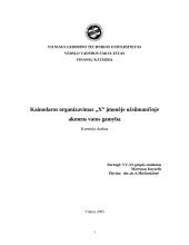 Kainodaros organizavimas įmonėje užsiimančioje akmens vatos gamyba