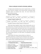 Kainodaros organizavimas įmonėje užsiimančioje akmens vatos gamyba 19 puslapis