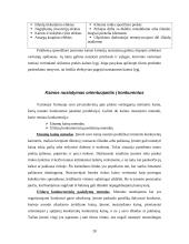 Kainodaros organizavimas įmonėje užsiimančioje akmens vatos gamyba 20 puslapis