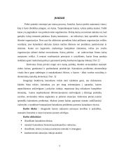 Kainodaros organizavimas įmonėje užsiimančioje akmens vatos gamyba 3 puslapis