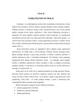 Kainodaros organizavimas įmonėje užsiimančioje akmens vatos gamyba 5 puslapis