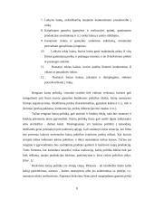 Kainodaros organizavimas įmonėje užsiimančioje akmens vatos gamyba 8 puslapis