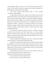 Kainodaros organizavimas įmonėje užsiimančioje akmens vatos gamyba 9 puslapis