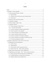 Kainodaros organizavimas įmonėje: UAB "Švyturys-Utenos alus" 2 puslapis