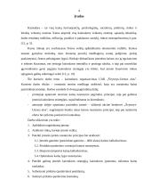 Kainodaros organizavimas įmonėje: UAB "Švyturys-Utenos alus" 4 puslapis