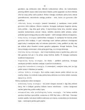 Kainodaros organizavimas įmonėje: UAB "Švyturys-Utenos alus" 10 puslapis