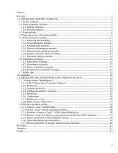 Kainodaros organizavimas įmonėje: UAB "Vilniaus duona" 2 puslapis