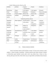 Kainodaros organizavimas įmonėje: UAB "Vilniaus duona" 11 puslapis