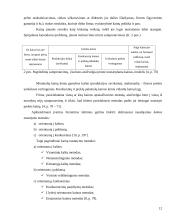 Kainodaros organizavimas įmonėje: UAB "Vilniaus duona" 12 puslapis