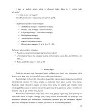 Kainodaros organizavimas įmonėje: UAB "Vilniaus duona" 19 puslapis