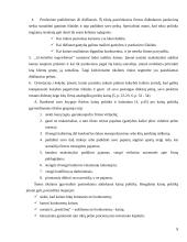 Kainodaros organizavimas įmonėje: UAB "Vilniaus duona" 8 puslapis