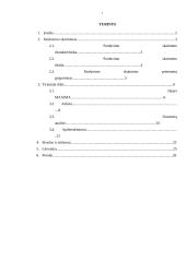 Pardavimo skatinimas naudojant Maxima Loto žaidimą 2 puslapis