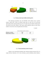 Pardavimo skatinimas naudojant Maxima Loto žaidimą 16 puslapis