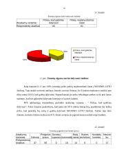 Pardavimo skatinimas naudojant Maxima Loto žaidimą 19 puslapis