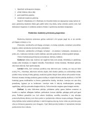 Pardavimo skatinimas naudojant Maxima Loto žaidimą 6 puslapis