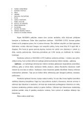 Pardavimo skatinimas naudojant Maxima Loto žaidimą 8 puslapis