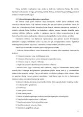 Kainodaros organizavimas: AB "Dvarčionių keramika" 11 puslapis