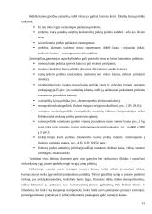 Kainodaros organizavimas: AB "Dvarčionių keramika" 13 puslapis