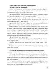 Kainodaros organizavimas: AB "Dvarčionių keramika" 19 puslapis