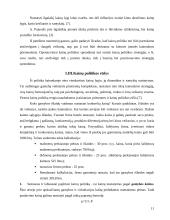 Kainodaros organizavimas: AB "Kaišiadorių paukštynas" 12 puslapis