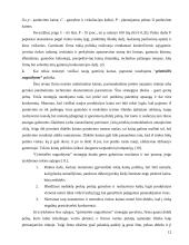 Kainodaros organizavimas: AB "Kaišiadorių paukštynas" 13 puslapis