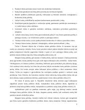 Kainodaros organizavimas: AB "Kaišiadorių paukštynas" 10 puslapis