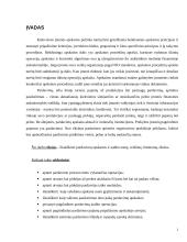 Pardavimų apskaita 2 puslapis