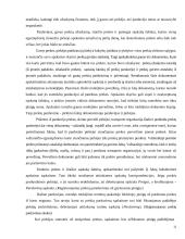 Pardavimų apskaita 13 puslapis