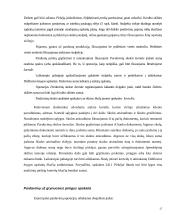 Pardavimų apskaita 17 puslapis