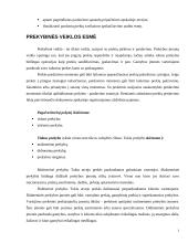 Pardavimų apskaita 3 puslapis