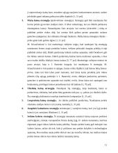 Kainodaros organizavimas: AB "Klaipėdos baldai" 11 puslapis