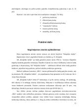 Kainodaros organizavimas: AB "Klaipėdos baldai" 13 puslapis