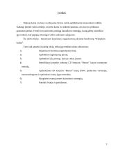 Kainodaros organizavimas: AB "Klaipėdos baldai" 3 puslapis