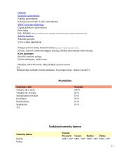 Kainodaros organizavimas: IĮ "Atsipūsk" 11 puslapis