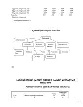 Kainodaros organizavimas: IĮ "Atsipūsk" 12 puslapis