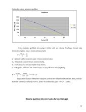 Kainodaros organizavimas: IĮ "Atsipūsk" 19 puslapis