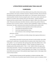 Kainodaros organizavimas: IĮ "Atsipūsk" 4 puslapis