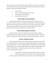 Kainodaros organizavimas: IĮ "Atsipūsk" 5 puslapis