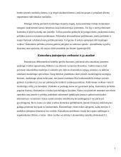 Kainodaros organizavimas: IĮ "Atsipūsk" 7 puslapis