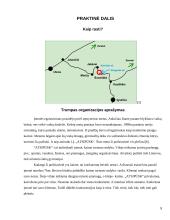 Kainodaros organizavimas: IĮ "Atsipūsk" 8 puslapis