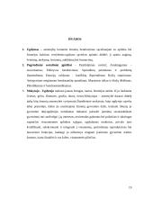 Pasirengimo savarankiškam gyvenimui ugdymas vyresnėse klasėse 18 puslapis