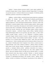 Pasirengimo savarankiškam gyvenimui ugdymas vyresnėse klasėse 4 puslapis