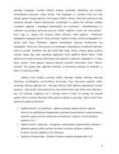 Pasirengimo savarankiškam gyvenimui ugdymas vyresnėse klasėse 5 puslapis