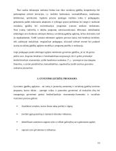 Pasirengimo savarankiškam gyvenimui ugdymas vyresnėse klasėse 9 puslapis