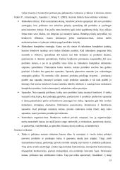 Pasirinktos prekės analizė: įmonės "Ferrero" saldainiai "Raffaello" 12 puslapis