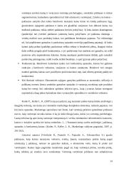 Pasirinktos prekės analizė: įmonės "Ferrero" saldainiai "Raffaello" 13 puslapis