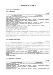 Pasirinktos prekės analizė: įmonės "Ferrero" saldainiai "Raffaello" 19 puslapis