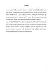 Pasirinktos prekės analizė: įmonės "Ferrero" saldainiai "Raffaello" 3 puslapis