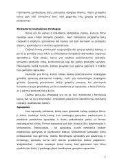 Kainodaros organizavimas: M. Kodžio personalinė įmonė 11 puslapis